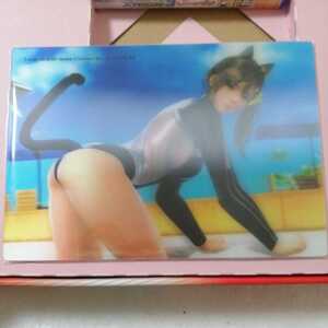 DEAD OR ALIVE Xtreme 3 Scarlet コレクターズエディション レンチキュラーカード スカーレット特製 禁断の水着カード