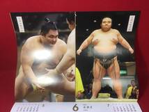 未使用 令和3年 丑年 暦 2021年 SUMO CALENDAR JAPAN 大相撲カレンダー 公益財団法人 日本相撲協会 横綱 白鵬 鶴竜 境川右エ門 珍品 資料_画像7