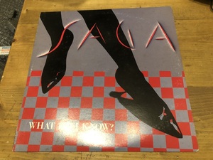 12”★Saga / What Do I Know ? / AOR / ロック！