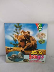 R1116　LD・レーザーディスク　わくわく動物親子の商品画像