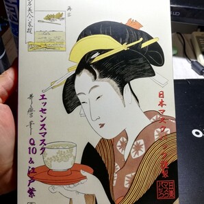 日本製 フェイスマスク 10枚個別