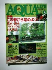 月刊アクアライフ　1999 5月号