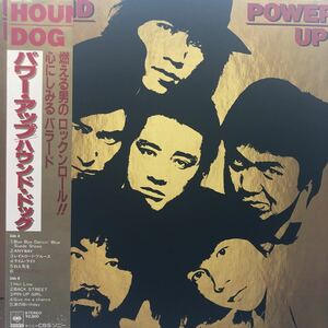 M帯付LP HOUND DOG ハウンド・ドッグ パワー・アップ 大友公平 レコード 5点以上落札で送料無料