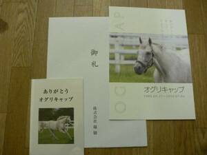 オグリキャップ お別れ会 オリジナル クオカード 競馬 非売品