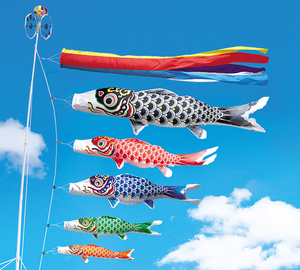  prompt decision![ new goods koinobori 3m5 pcs . color blow sink set ]8 point koinobori polyester satin feather . colored carp .