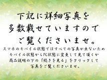 都山流尺八極上管 斑竹胡麻竹 銀縁歌口【月山】銀石目打仕上中継2つ折 54.5cm 袋.キャップ付 時代和楽器_画像2