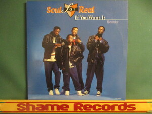 Soul For Real ： If You Want It Remix 12'' // Bad Boy Mix / LP Ver. / 落札5点で送料無料