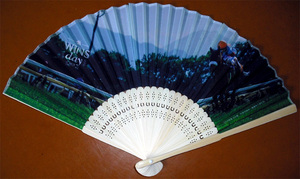 JRA Japan centre horse racing .2019 year WINS dayu in zte- original goods fan almond I distribution goods unused 