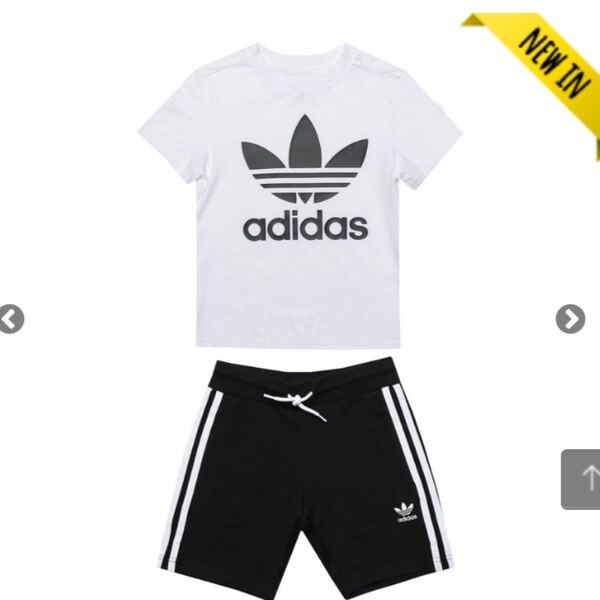  adidas originals上下セット