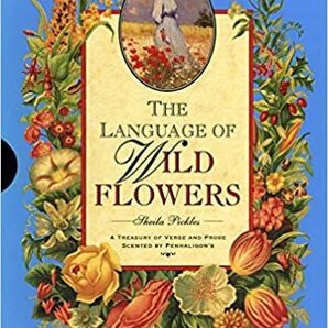 LANGUAGE WILD FLOWERS 1995 ハードカバー 1995/3/9 Sheila Pickles シェイラ・ピックルス著
