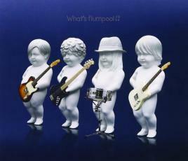 What’s flumpool !? レンタル落ち 中古 CD