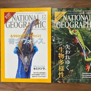 ナショナルジオグラフィック日本版 2008年12月号