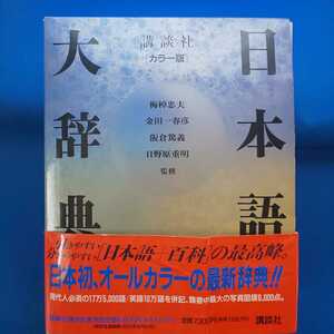 カラー版 日本語大辞典 1989年 第1刷発行 講談社 