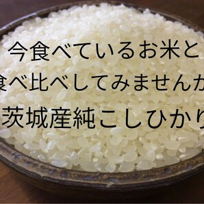 茨城産こしひかり　25kg 送料無料です