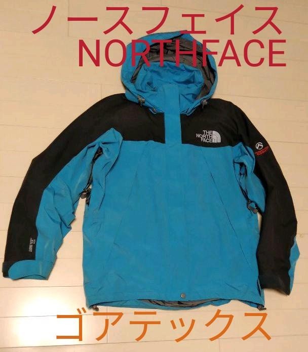 日本未発売】 海外限定品 THE NORTH FACE GTX Gore-Tex MOUNTAIN