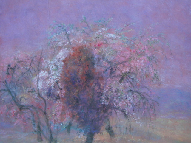 Miyozo Kato, [Kirschblüten auf dem Feld], Aus einem seltenen gerahmten Kunstbuch, Schönheitsprodukte, Ganz neu mit Rahmen, Innere, Frühling, Kirschblüten, jj, Malerei, Ölgemälde, Natur, Landschaftsmalerei