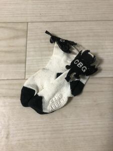 CHUBBY GANG socks ( white )