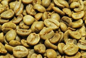 【１kg】デカフェ コーヒー生豆 ブラジル デカフェ ノンカフェイン プレミアムコーヒー 送料無料