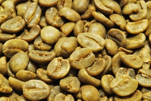 【１０kg】デカフェ コーヒー生豆 ブラジル デカフェ ノンカフェイン プレミアム 自家焙煎 送料無料