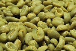 【１０㎏】コーヒー生豆 エチオピア イリガチャフ Ｇ-１ コチャレ ウォッシュ プレミアムコーヒー 自家焙煎 カフェ 送料無料
