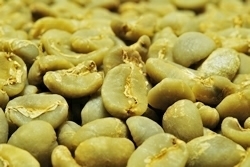 [10.] coffee raw legume Mandheling sina-ru premium free shipping 