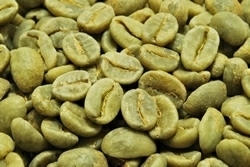 【１㎏】コーヒー生豆 コロンビア ナリーニョＳＰ プレミアム 自家焙煎 こだわりコーヒー カフェ 送料無料