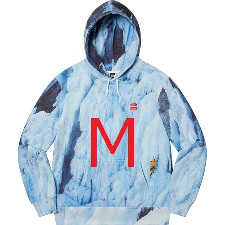 ヤフオク! -supreme north face 雪山の中古品・新品・未使用品一覧