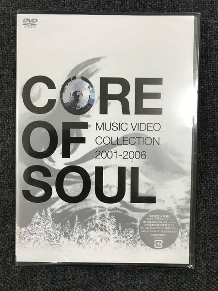 新品未開封DVD☆ＣＯＲＥ.ＯＦ.ＳＯＵＬ. ＭＵＳＩＣ.ＶＩＤＥＯ.ＣＯＬＬＥＣＴＩＯＮ２００１-２００６.. (2006/02/22)/＜TOBF5446＞：