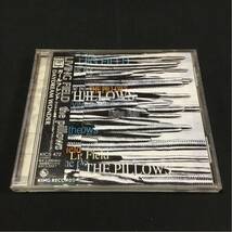 邦楽CD the pillows LIVING FIELD CD 帯付_画像1