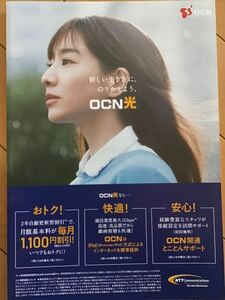  rice field middle .. real ( cover ) *OCN limited time pamphlet *A4 size * new goods * not for sale 