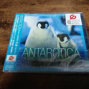 CD「ANTARCTICA NHKテレビ放送50年 南極プロジェクト」押尾コータロー 新品●