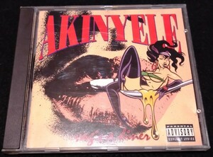 Akinyele / Vagina Diner ★Large Professor　Rob Swift　アキネリ　ラージプロフェッサー　1993年US ORIGINAL CD