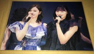 送料無料 クリアファイル 乃木坂46 白石麻衣 遠藤さくら Mai Shiraishi Graduation Concert 楽天特典