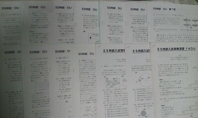 サピックス SAPIX*サンデーサピックス・難関校 SS特訓*6年*理科/桜蔭 対策プリント*全14回~入試実戦演習あり*貴重