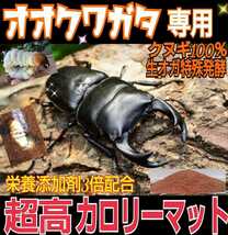 オオクワガタ専用☆超高カロリーマット☆生オガを特殊発酵！共生バクテリア・特殊アミノ酸など栄養添加剤を３倍配合☆クヌギ１００％原料！_画像9