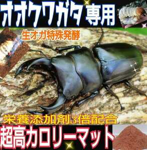 オオクワガタ専用☆超高カロリーマット☆生オガを特殊発酵！共生バクテリア・特殊アミノ酸など栄養添加剤を３倍配合☆クヌギ１００％原料！