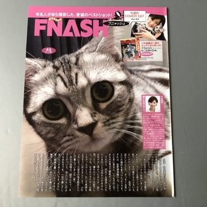 ●竹内愛紗　フニャッシュ　ペット　猫　ネコ　雑誌切り抜き1P　24795