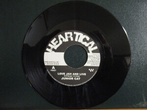 Junior Cat ： Love Jah And Live 7'' / 45s ★ Reggae ☆ c/w Noel Zoot Simms AKA Skully - See Dem A Come // 落札5点で送料無料