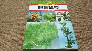 a2■観葉植物 ～種類別のやさしい育て方～　/皆川清彦　/永岡書店 