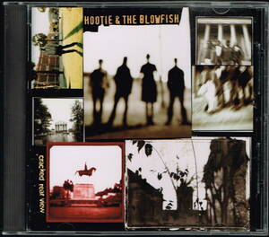 ◆同梱発送可◆CD Hootie & The Blowfish : Cracked Rear View 国内盤 解説/歌詞/対訳付き　美品中古