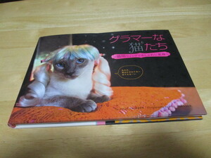  「 グラマーな猫たち 」 猫用ウイッグでおしゃれに変身 /写真集・送料 310円（厚さ3㎝まで／同梱発送可 370円）