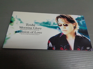 TOSHI/MORNING GLORY★8cmCD 希少な見本盤