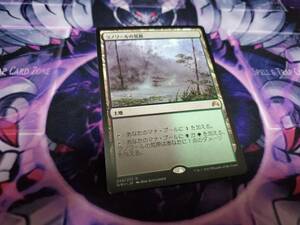 Magic: The Gathering MTG 日本語 ラノワールの荒原/Llanowar Wastes　ORI