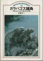 伊藤秀三　ガラパゴス諸島　生きものたちの進化と生態　IWANAMI GRAPHICS　28　岩波グラフィックス　岩波書店　初版_画像1