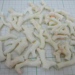 【TOP】珊瑚 サンゴ 75g ルース セット ペンダントトップ タイピン 根付 x636.