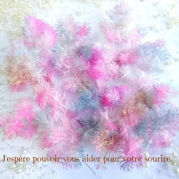 加工花材* マーメイド ミリオクラダス プリザーブドフラワー 花材
