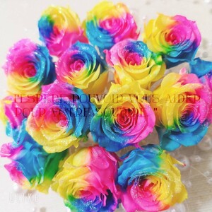 加工花材* レインボーローズ プリザーブドフラワー 花材