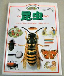 !即決!「昆虫　ふしぎ大好き！たんけん隊」スティーブ・パーカー著