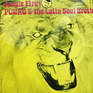 【極美品】PUCHO & THE LATIN SOUL BROTHERS / JUNGLE FIRE LP