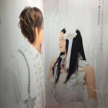 ○舞台 Romeo & Juliet ロミオとジュリエット 2009 パンフレット 上田竜也 小林涼子 山下翔央 長谷川純 寺田農 入絵加奈子 チラシ2枚付き_画像9